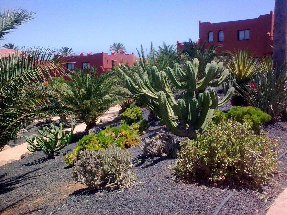 Tamarindo I Piscinas De Agua Salada Apartment Corralejo Exterior photo